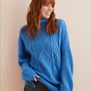 Aerie Sweater (Blue Oversized Turtleneck)